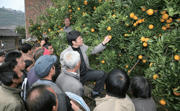2007年11月，重庆市奉节县实施温暖工程“双百计划”。图为奉节中华职业教育社组织专家向白帝村的农民讲授脐橙种植技术.png